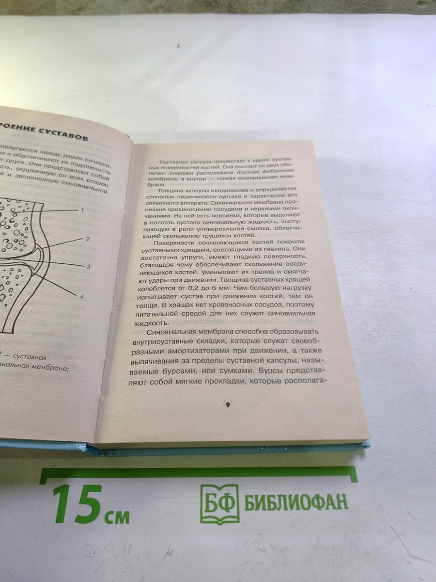 Здоровые суставы и позвоночник за 5 минут