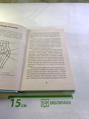 Здоровые суставы и позвоночник за 5 минут