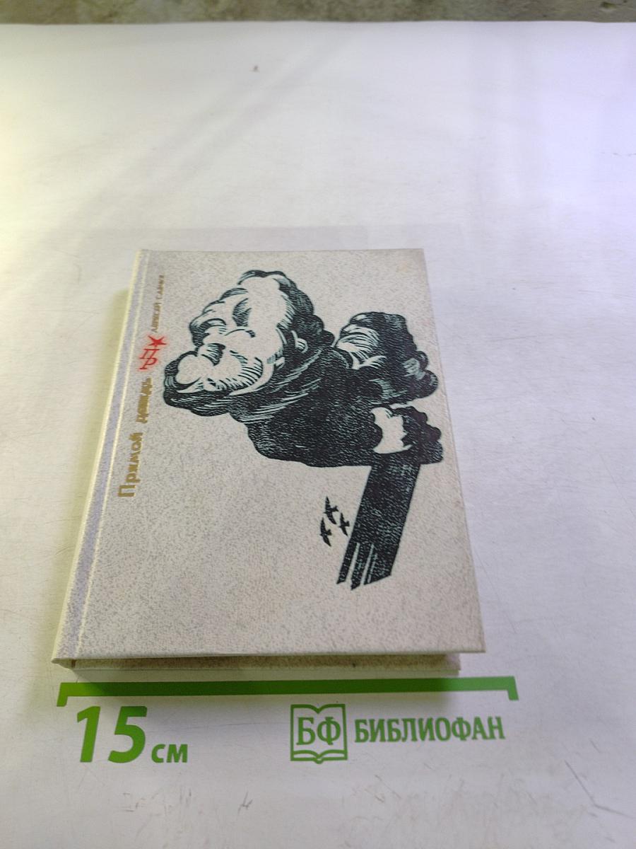 Прямой дождь