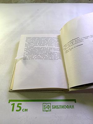 Прямой дождь