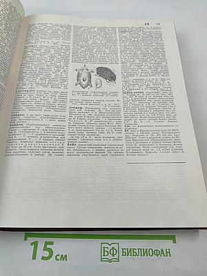 Большая Советская Энциклопедия. Том 9: Евклид - Ибсен