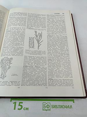 Большая Советская Энциклопедия. Том 12: Кварнер — Конгур