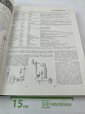 Большая Советская Энциклопедия. Том 10: Ива - Италики