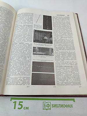 Большая Советская Энциклопедия. Том 10: Ива - Италики