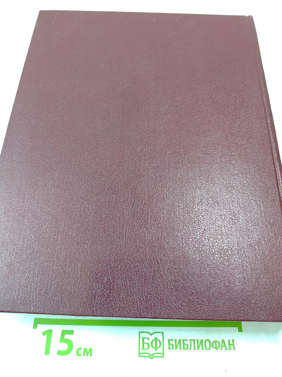 Большая Советская Энциклопедия. Том 10: Ива - Италики