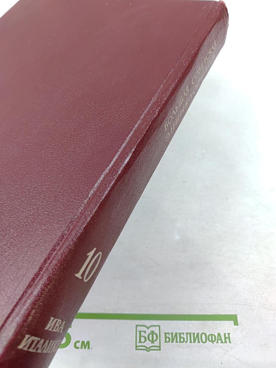 Большая Советская Энциклопедия. Том 10: Ива - Италики