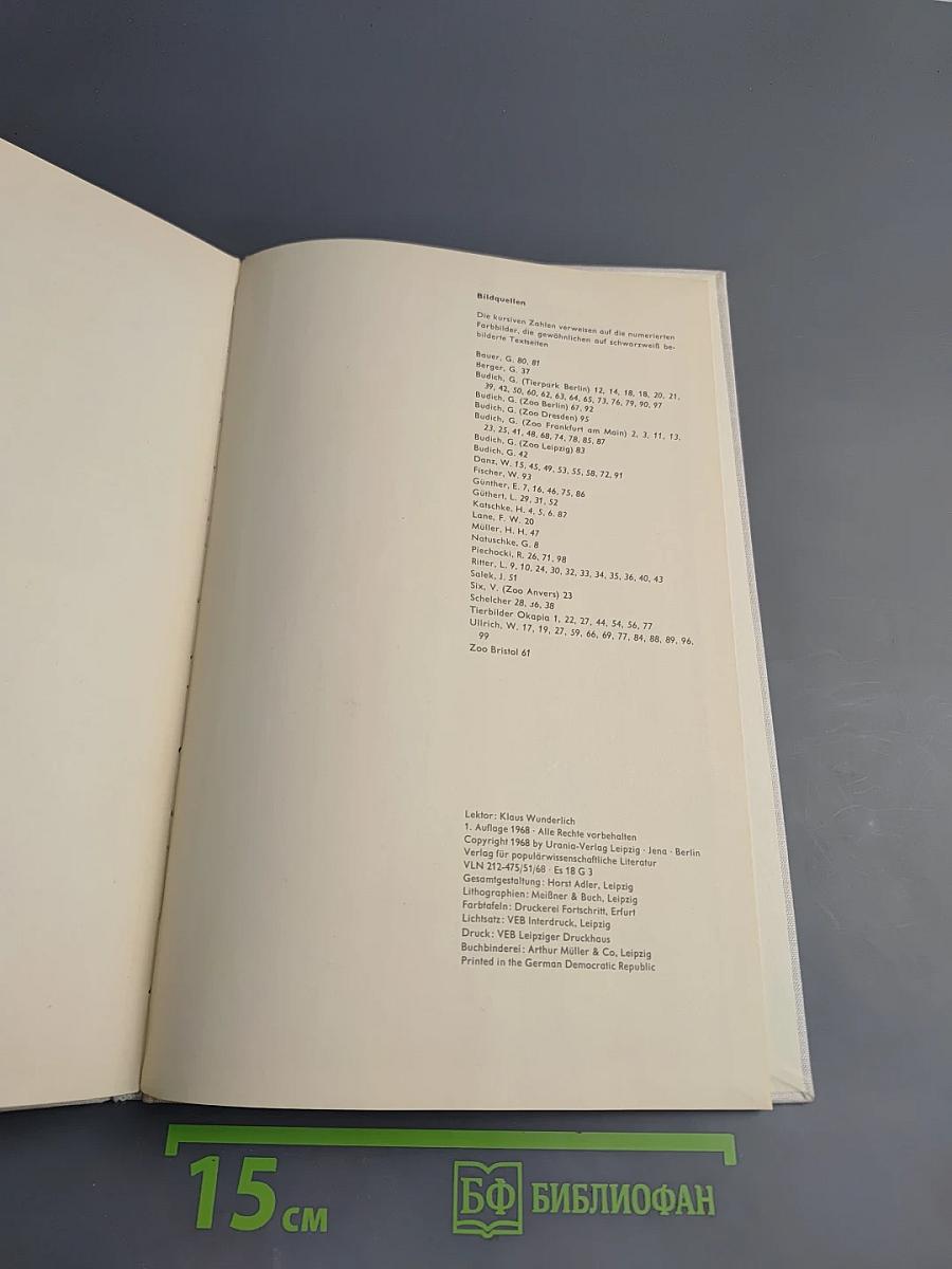 SAUGETIERE interessant und farbig