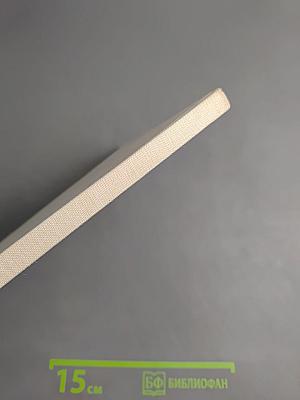 SAUGETIERE interessant und farbig