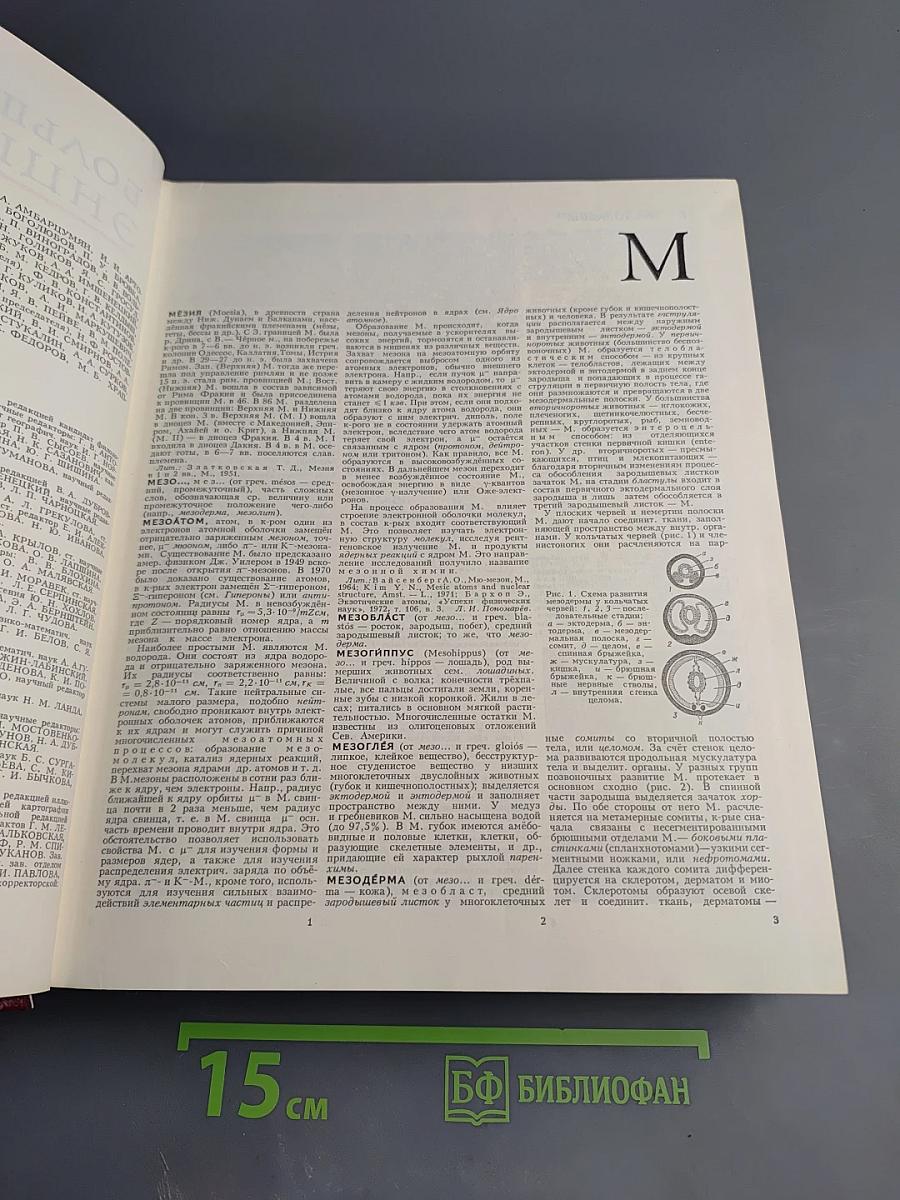 Большая Советская Энциклопедия. Том 16. Мезия — Моршанск