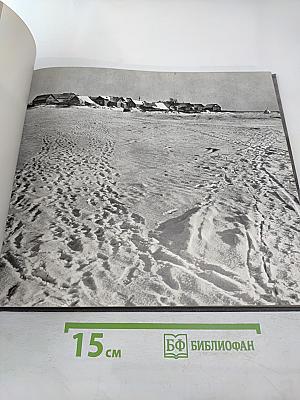 Земля Псковская