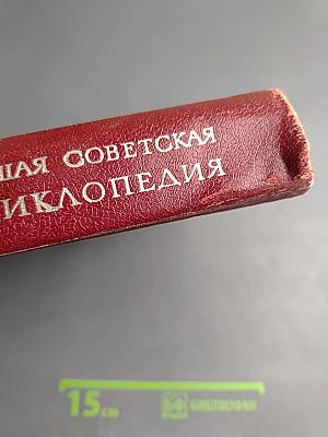 Большая Советская Энциклопедия. Том 8: Дебитор – Эвкалипт