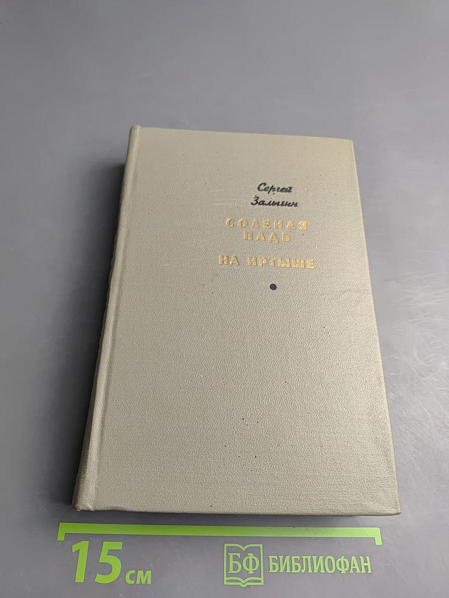 Соленая падь. На Иртыше