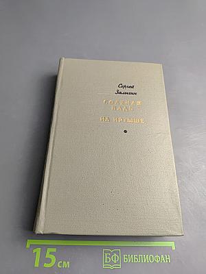 Соленая падь. На Иртыше