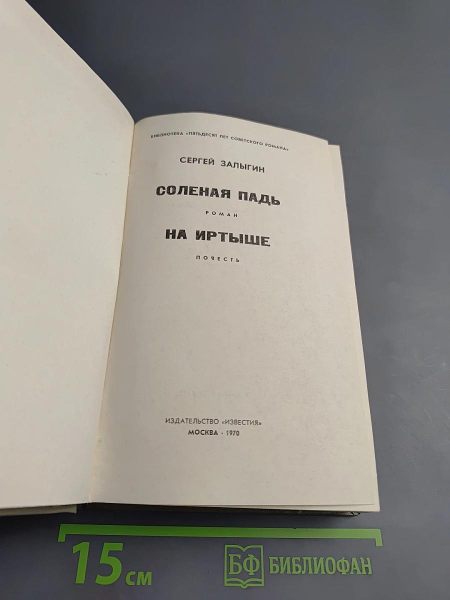 Соленая падь. На Иртыше