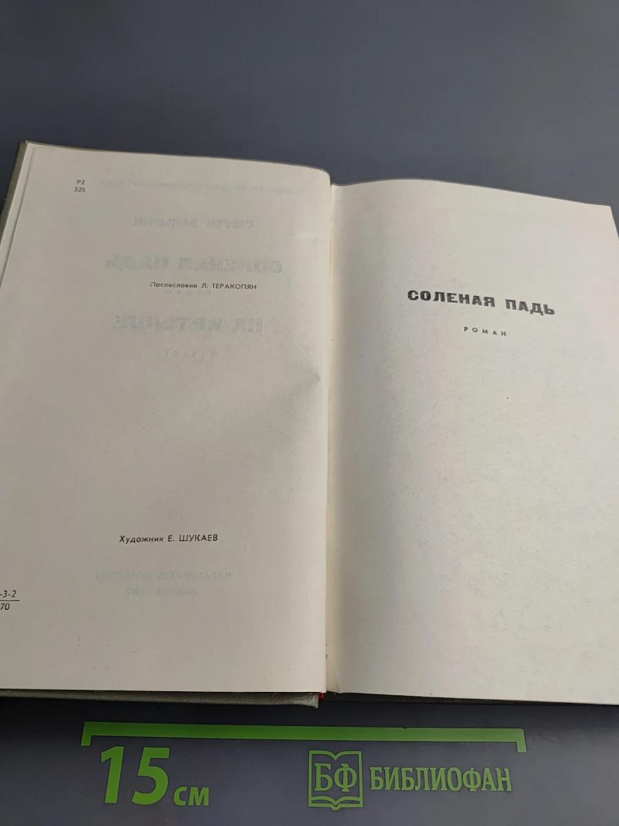 Соленая падь. На Иртыше