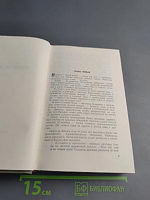 Соленая падь. На Иртыше