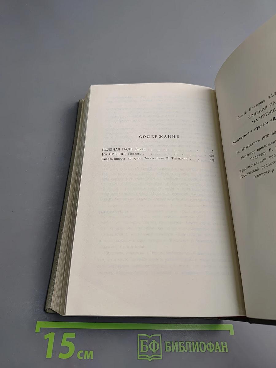 Соленая падь. На Иртыше