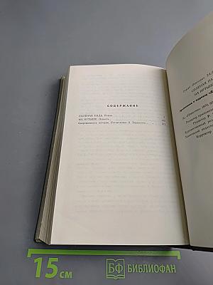 Соленая падь. На Иртыше