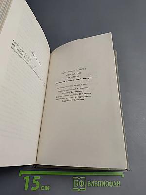 Соленая падь. На Иртыше