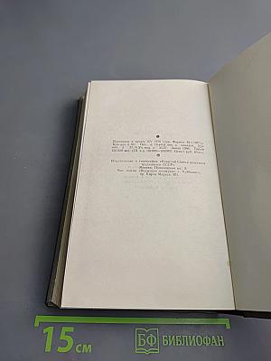 Соленая падь. На Иртыше