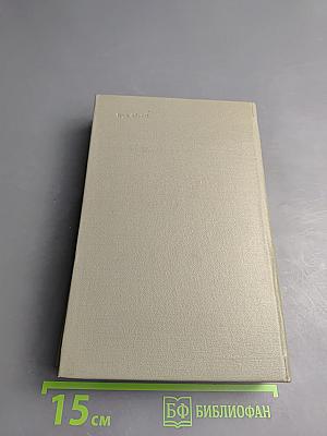 Соленая падь. На Иртыше