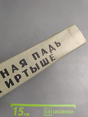 Соленая падь. На Иртыше