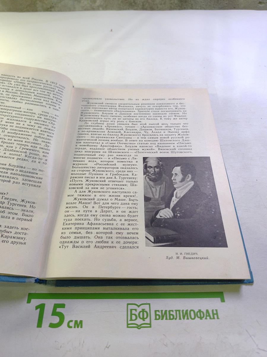 Родного неба милый свет...