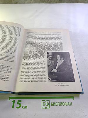 Родного неба милый свет...