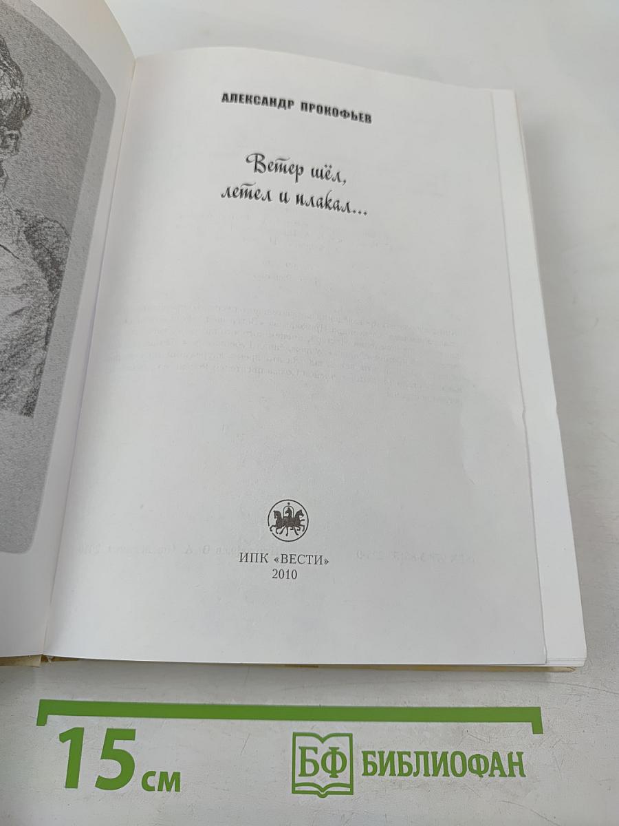Ветер шёл, летел и плакал...