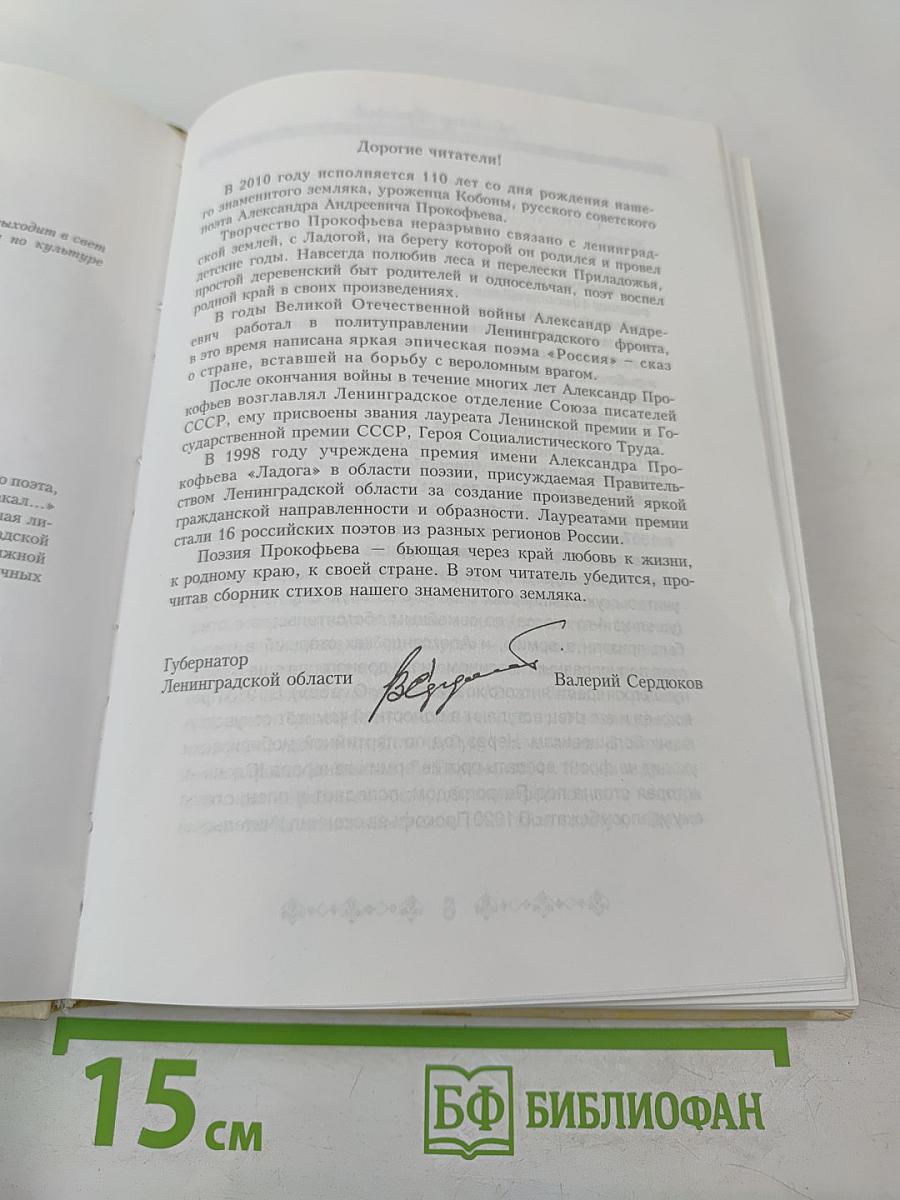 Ветер шёл, летел и плакал...