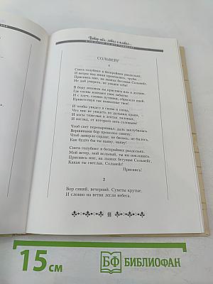 Ветер шёл, летел и плакал...