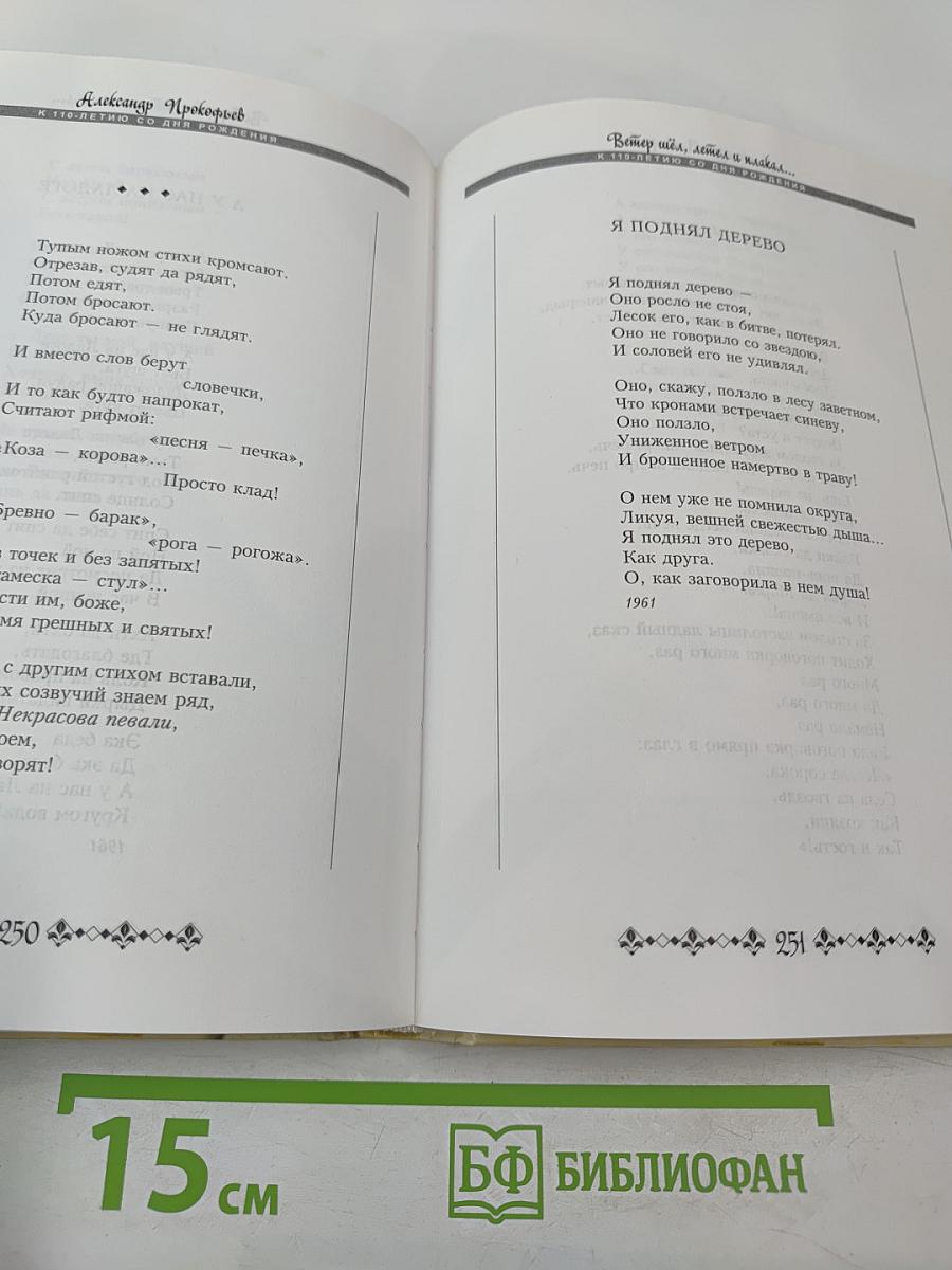 Ветер шёл, летел и плакал...