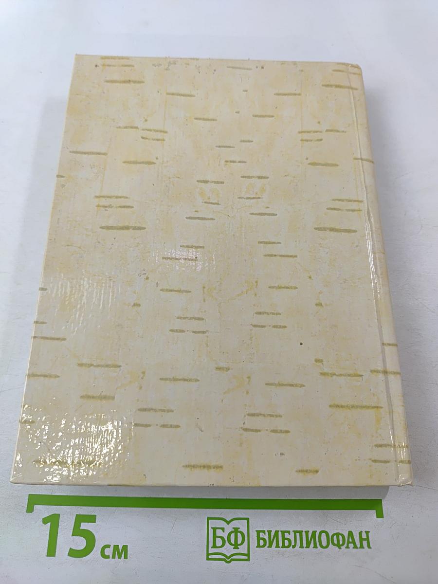 Ветер шёл, летел и плакал...