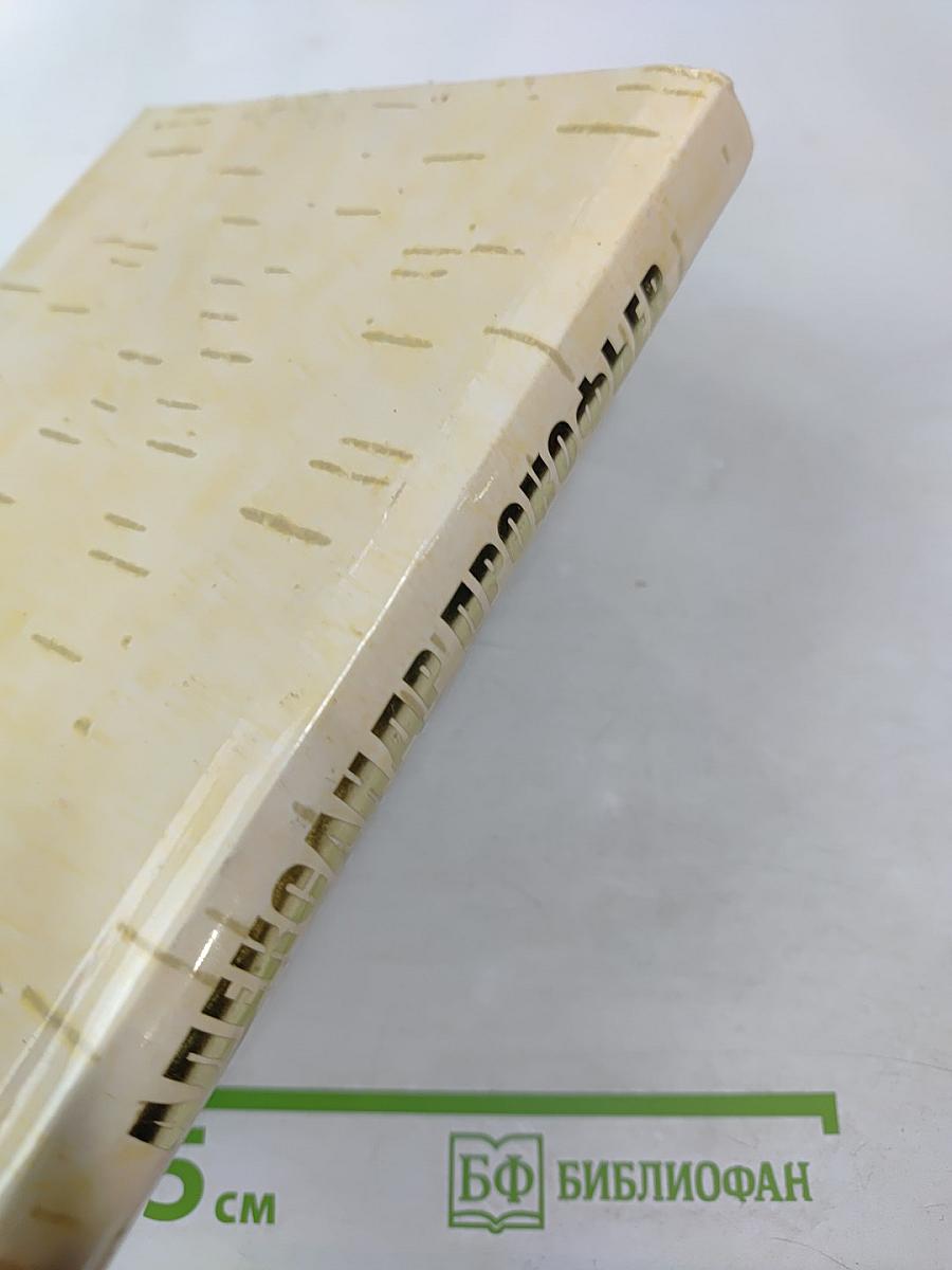 Ветер шёл, летел и плакал...