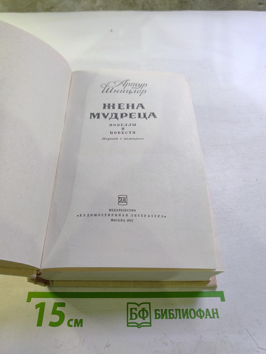 Жена мудреца