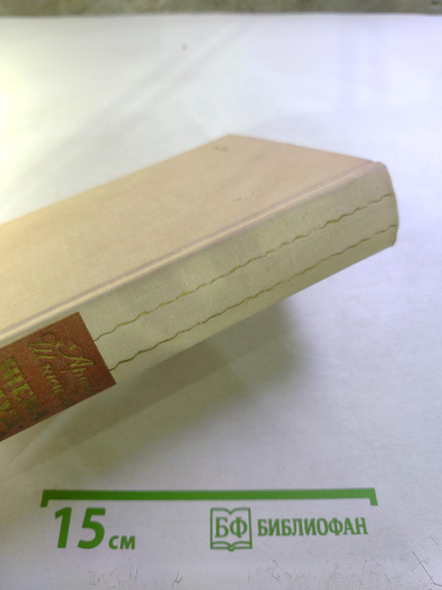 Жена мудреца