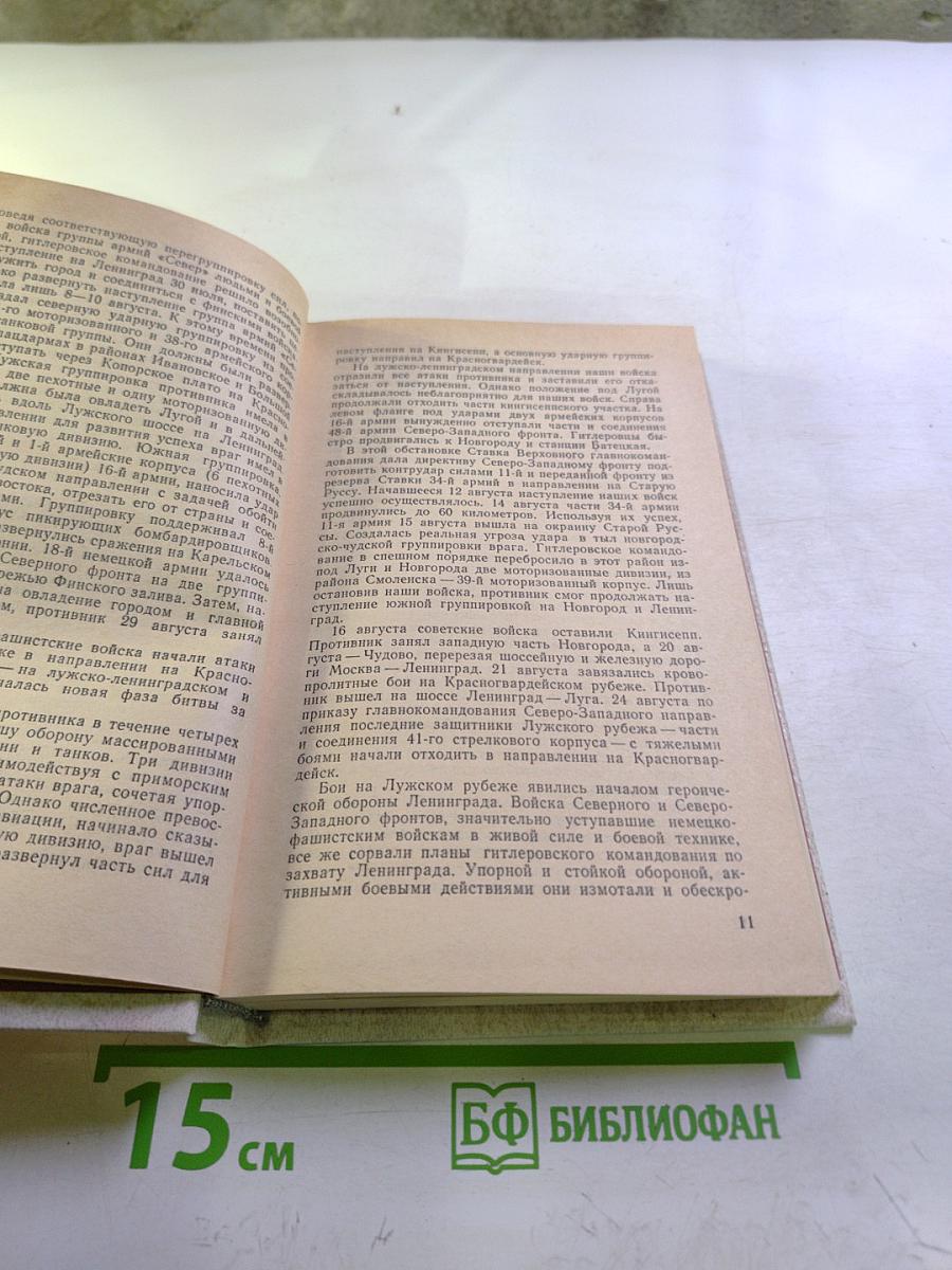 Лужский рубеж. Год 1941-й