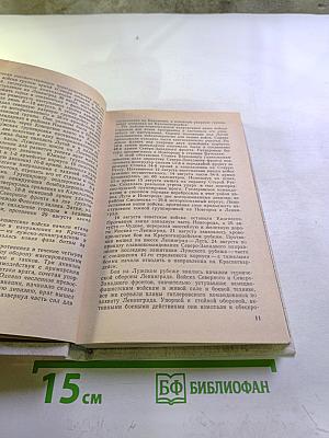 Лужский рубеж. Год 1941-й