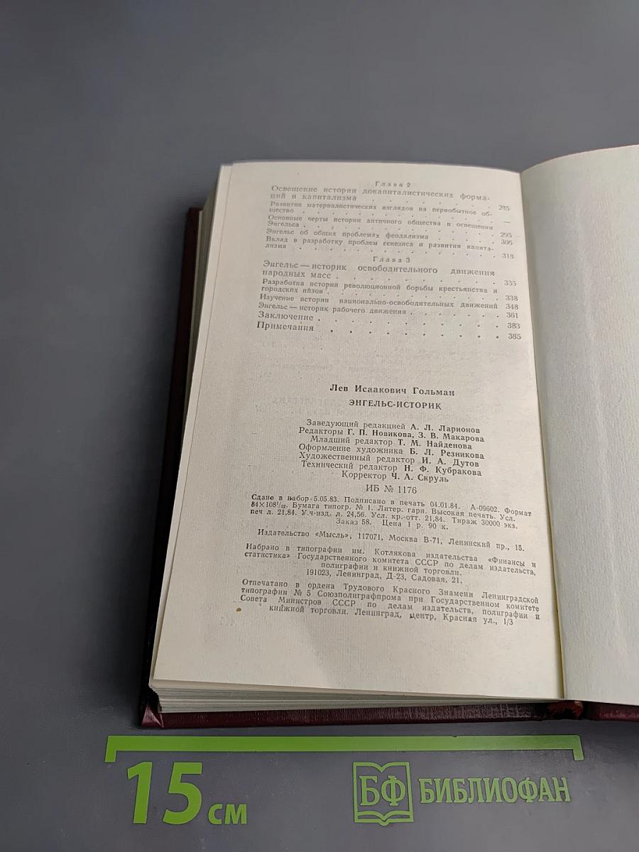 Энгельс - историк