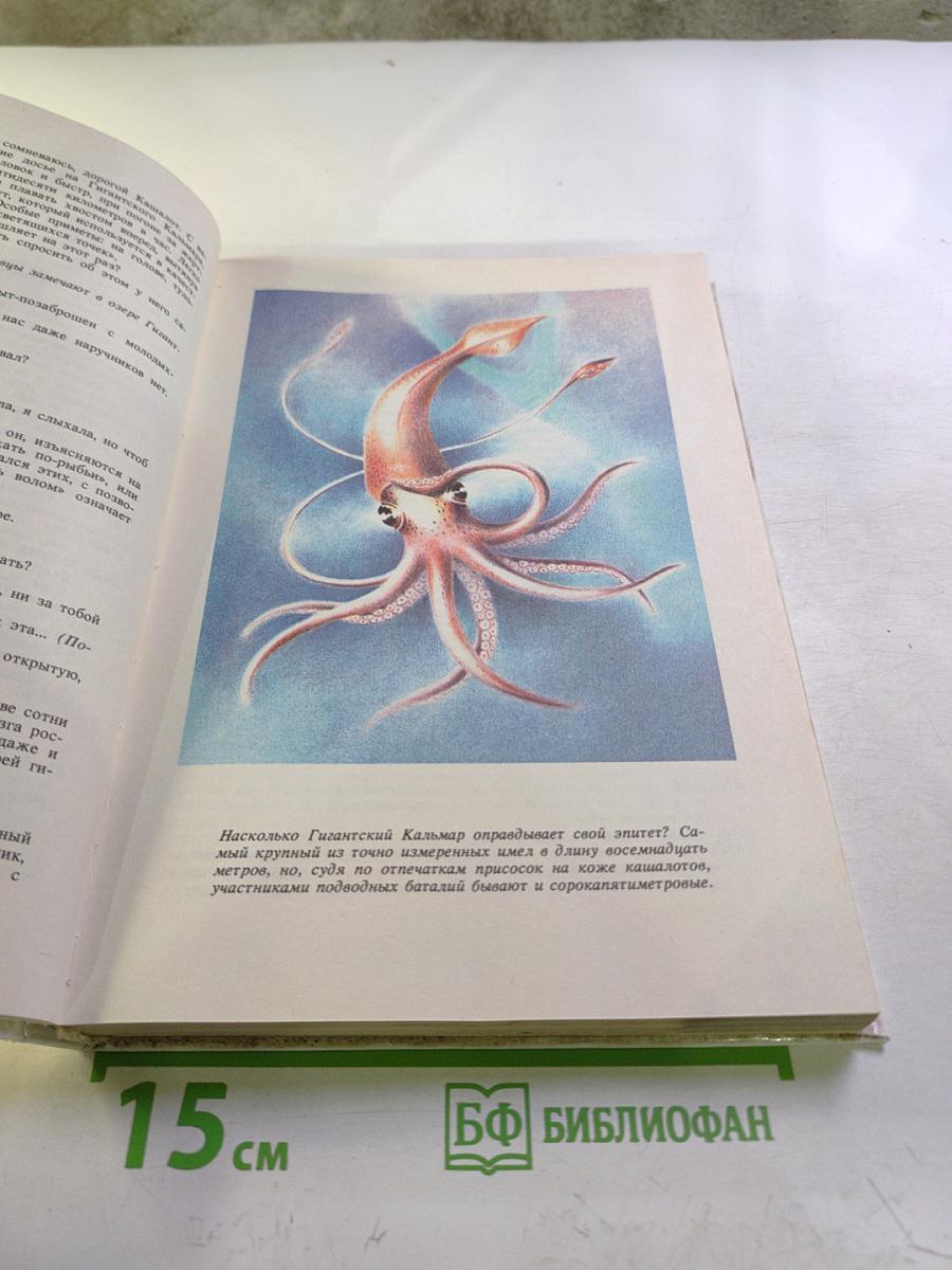 5 (пять) таинственных "Ка", или Репортаж о событиях невероятных