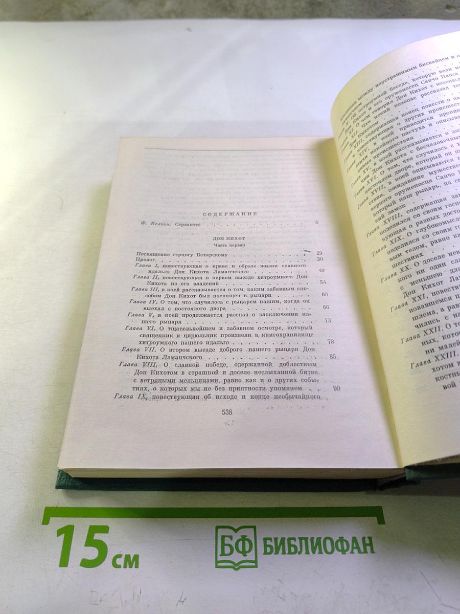 Хитроумный идальго Дон Кихот Ламанчский. Часть первая