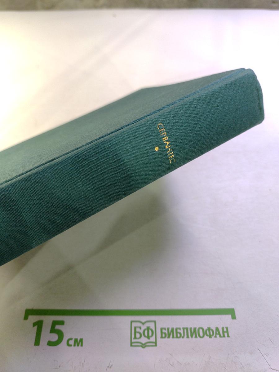 Хитроумный идальго Дон Кихот Ламанчский. Часть первая