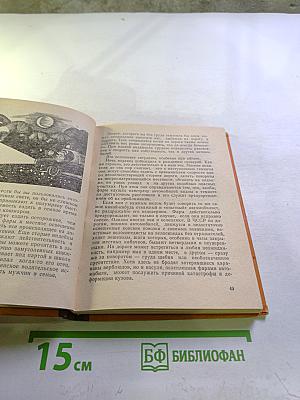 За рулем женщина