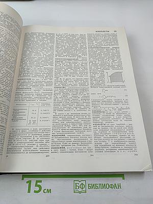 Большая Советская Энциклопедия, Том 10: Ива – Италийки