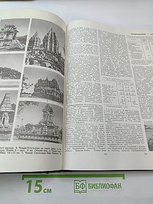 Большая Советская Энциклопедия, Том 10: Ива – Италийки