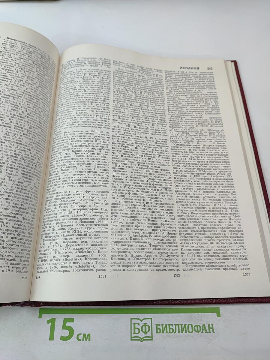 Большая Советская Энциклопедия, Том 10: Ива – Италийки