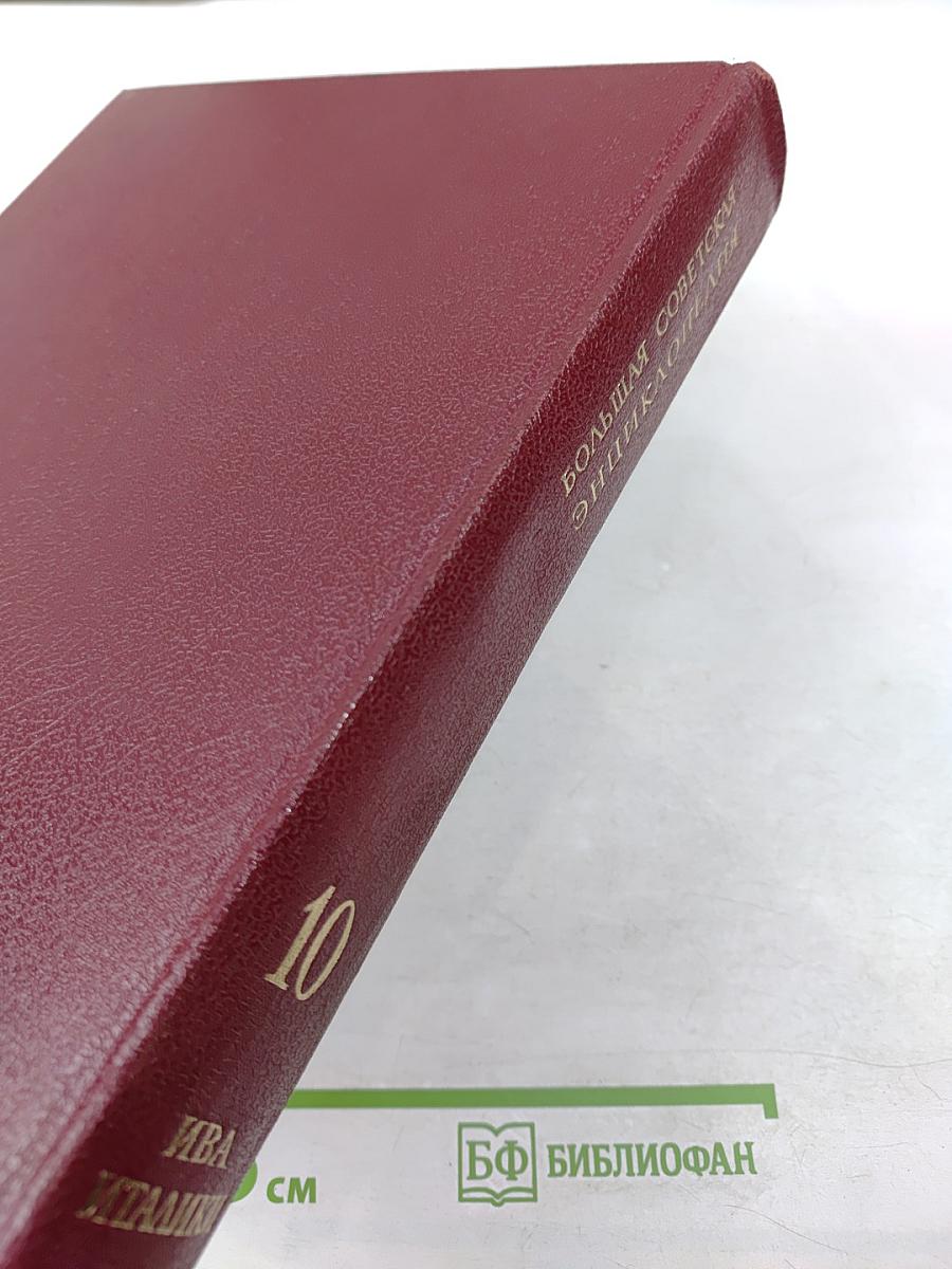 Большая Советская Энциклопедия, Том 10: Ива – Италийки
