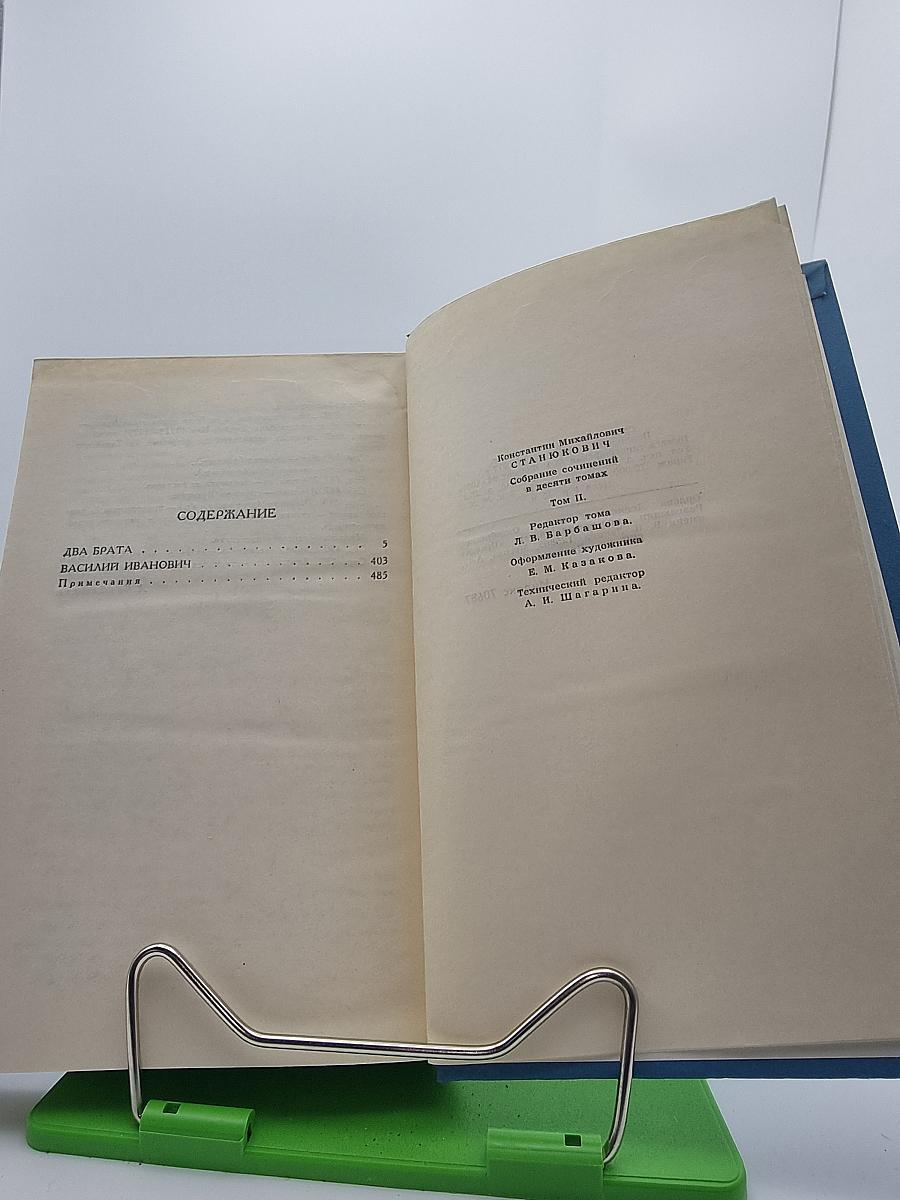 Собрание сочинений в десяти томах. Том 2: Два брата