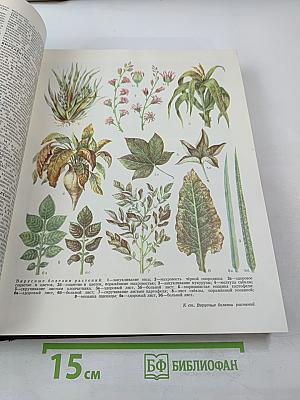 Большая Советская Энциклопедия. Том 5. Вещин — Газли