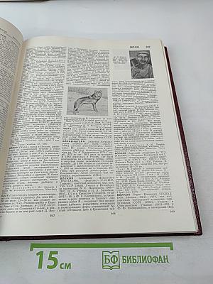 Большая Советская Энциклопедия. Том 5. Вещин — Газли